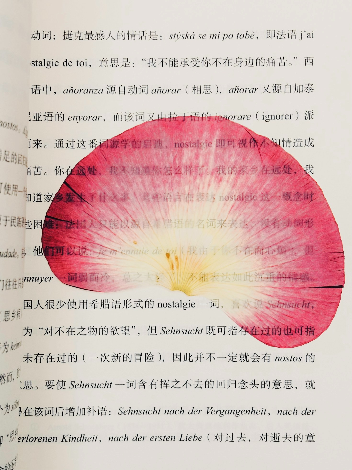 Exploring the Advantages of AI in Ebook Management